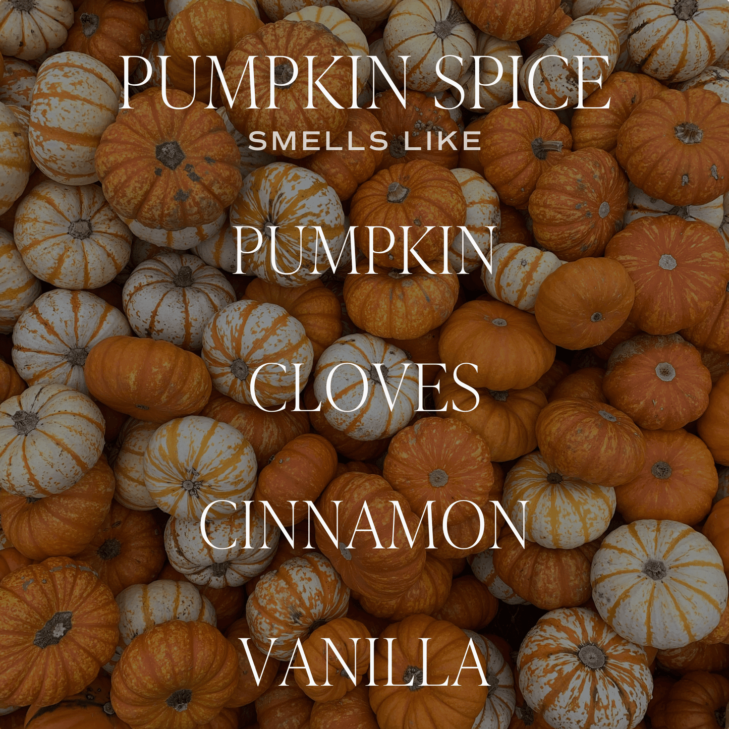 Pumpkin Spice 9 oz Soy Candle - Fall Decor